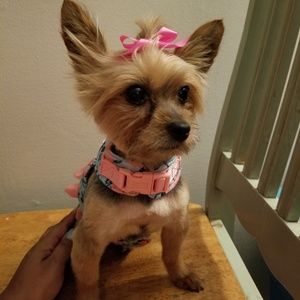 Meet your Posher, Consuelo